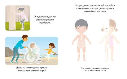 Тело человека - фото 4