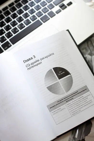 Культурный интеллект. Почему он важен для успешного управления и как его развить - фото 8