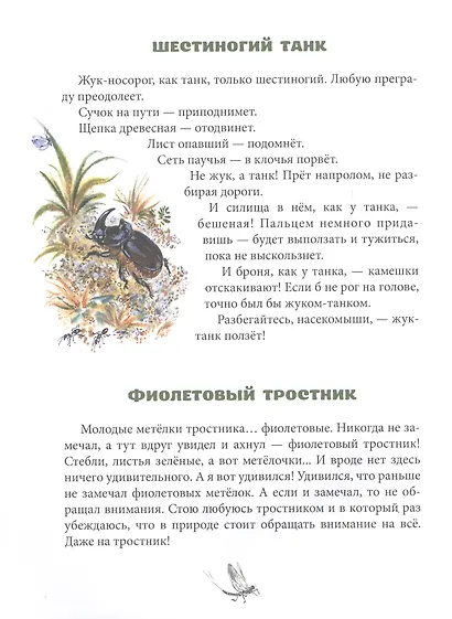 Хрустальная полынь - фото 5