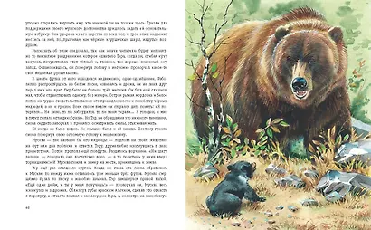 Гризли (ил. В. Канивца) - фото 5