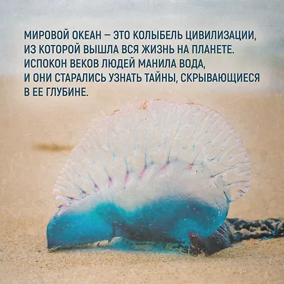 Тайны морей и океанов. Большая иллюстрированная энциклопедия - фото 6