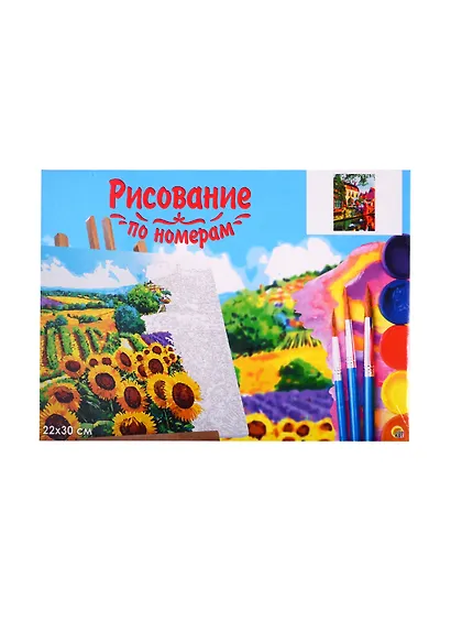 Набор для раскрашивания по номерам ТМ Рыжий Кот Холст с красками 22х30см Красивая европейская набережная (Арт. HS232) - фото 2