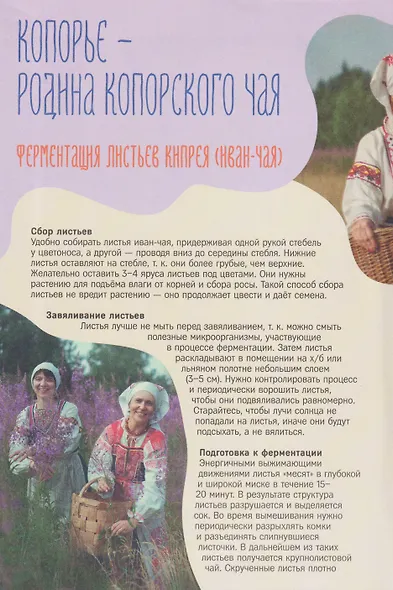 Большой путеводитель по южному берегу Финского залива - фото 6