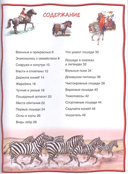 Лошади и пони - фото 2