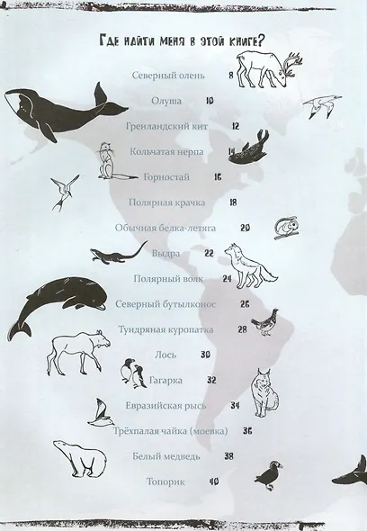 Север - фото 5