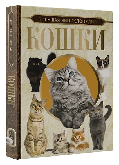 Большая энциклопедия. Кошки - фото 3