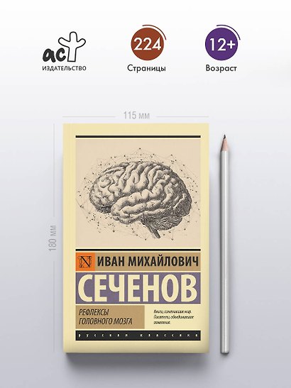 Рефлексы головного мозга - фото 4