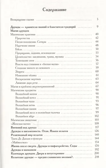Книга друидов - фото 2