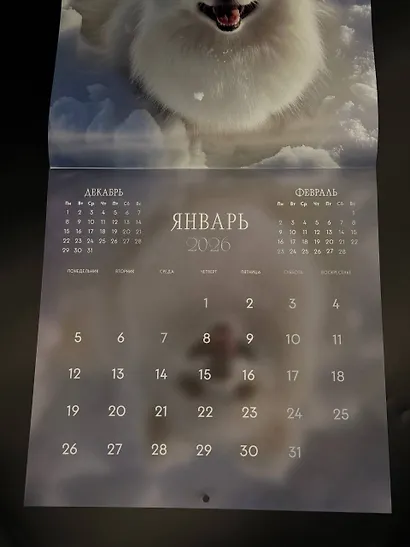Шпицы. Календарь настенный на 2026 год (300х300) - фото 6
