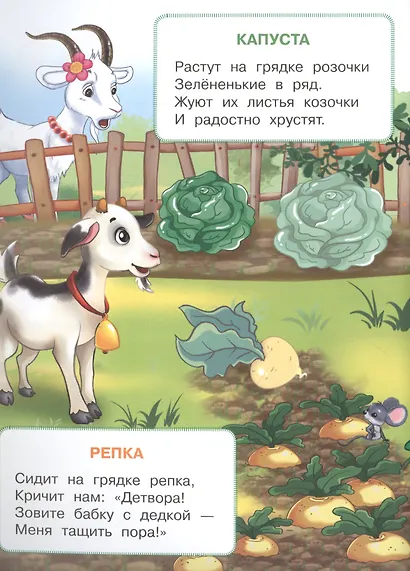 Овощи и фрукты - фото 4