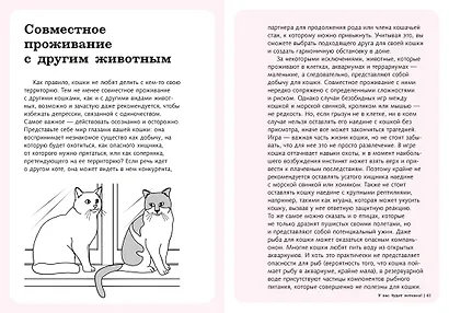 Гладить! Кормить! Любить! Замурчательное пособие по счастливой жизни с кошкой - фото 13