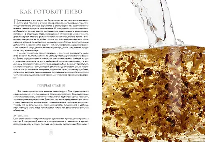 Маленькая книга гурмана. Пиво - фото 13