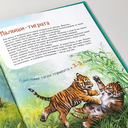 Я Тигр - фото 7