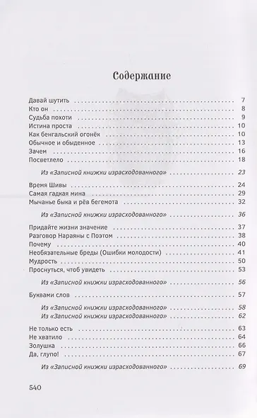 Любовь во время Шивы. Сказка, рассказанная самому себе - фото 3