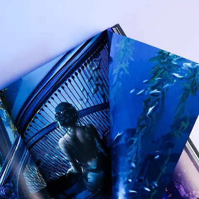 Призрачный Клинок. GhostBlade. Иллюстрации WLOP. Темная синева - фото 13