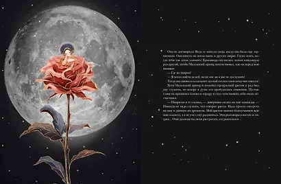 Маленький принц - фото 14