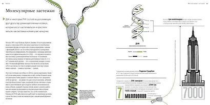 Большая книга аналогий. Антиучебник, который поможет влюбиться в науку - фото 5