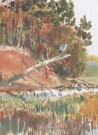 Тайны сентября - фото 3