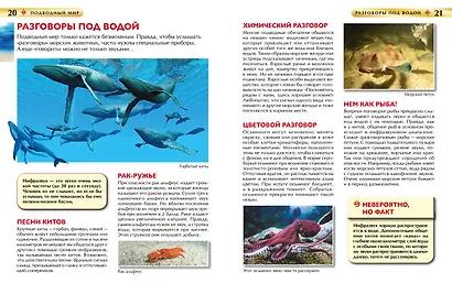 Подводный мир. Детская энциклопедия - фото 5