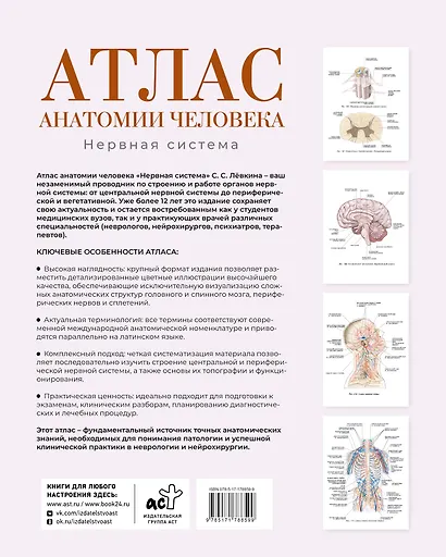 Атлас анатомии человека. Нервная система - фото 2