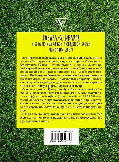 Туна. История собаки-улыбаки - фото 2