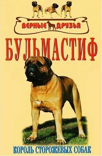Бульмастиф - фото 1