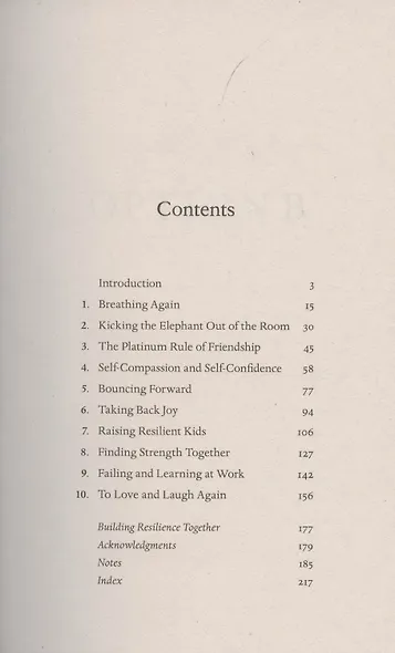 Option B. Facing Adversity, Building Resilience, and Finding Joy - фото 2