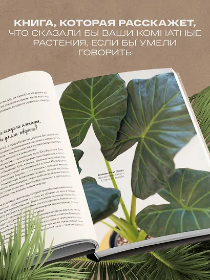 Секреты комнатных джунглей. О чем молчат растения и как понять, что им нужно на самом деле - фото 5