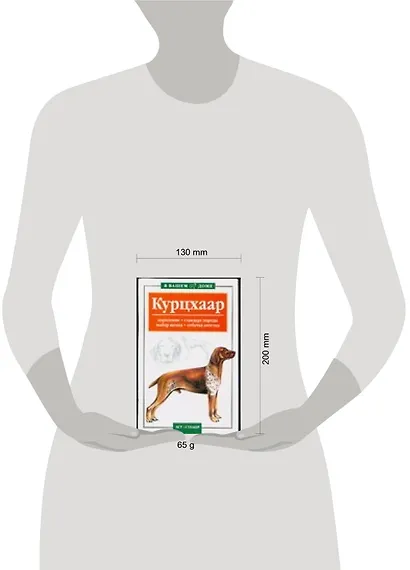 Курцхаар: Кормление, стандарт породы, выбор щенка, собачья аптечка - фото 2