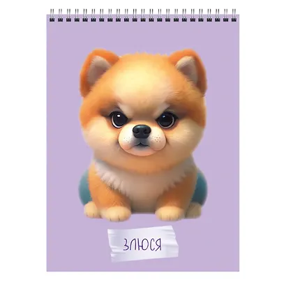 Блокнот А6 60л "Злюся" спираль - фото 1