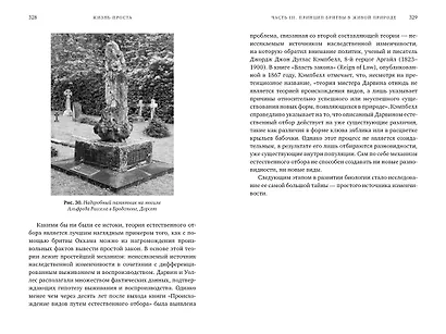 Жизнь проста. Как бритва Оккама освободила науку и стала ключом к познанию тайн Вселенной - фото 8