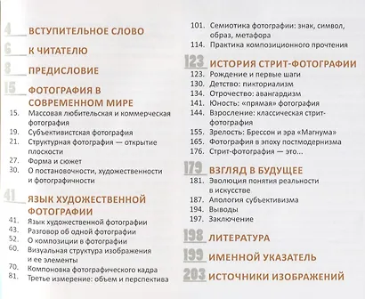 Стрит-фотография.Открытие плоскости.Кн.1 - фото 2