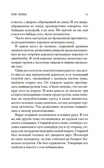 Сын полка - фото 14