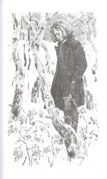 Дикая собака динго, или Повесть о первой любви. Повесть - фото 5