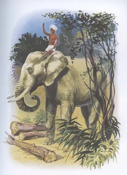 Рассказы, сказки, басни - фото 7