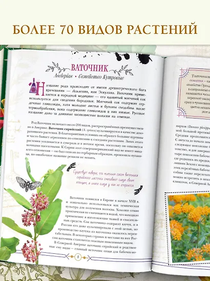 Опасные растения. От ядовитых до аллергенных - фото 4