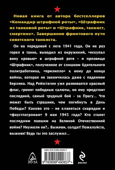 Последний бой штрафника - фото 2