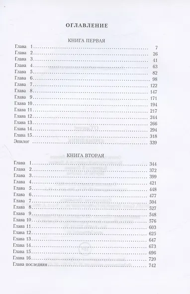 Кромешник: роман - фото 2