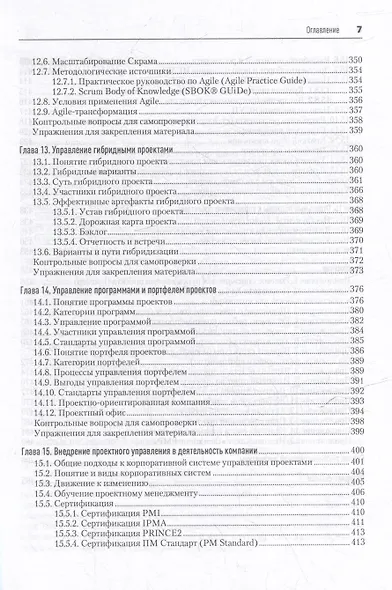 Основы управления проектами в компании. Учебное пособие - фото 12