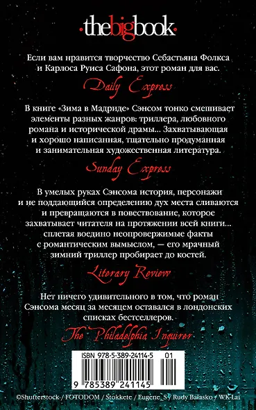 Зима в Мадриде - фото 2