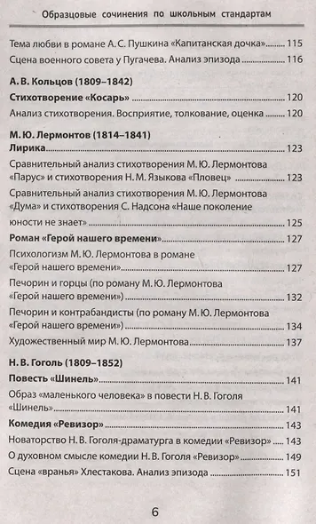 Образцовые сочинения по школьным стандартам: 5-11 классы - фото 6