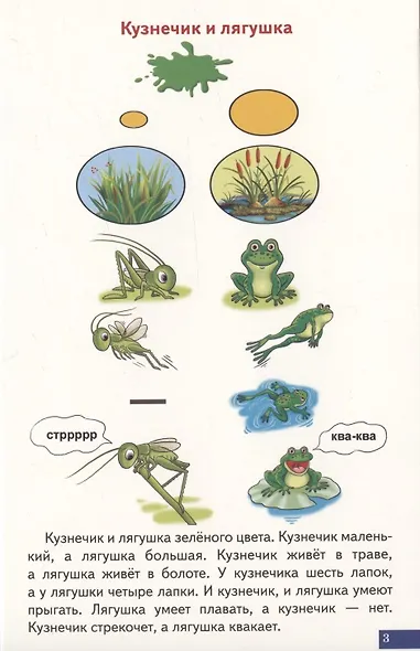 Логопедические карточки "Играй и говори! Схемы для сравнительно-описательных рассказов" - фото 4