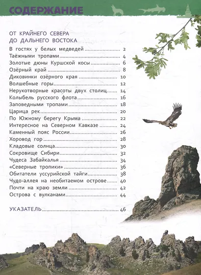 Энциклопедия для детского сада. Чудеса родной природы - фото 5