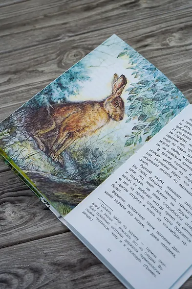 Рассказы о природе - фото 11