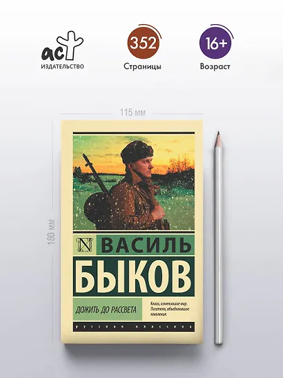 Дожить до рассвета - фото 4