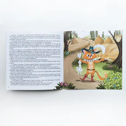 Кот в сапогах - фото 2