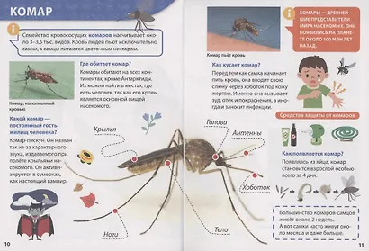 ЭНЦИКЛОПЕДИЯ ДЛЯ МАЛЕНЬКИХ ПОЧЕМУЧЕК. Насекомые - фото 7