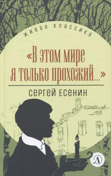 "В этом мире я только прохожий...". Стихотворения и поэмы - фото 1