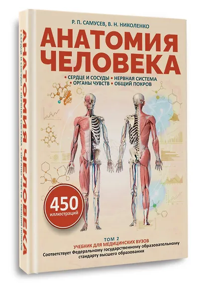 Анатомия человека. Сердце и сосуды, нервная система, органы чувств, общий покров - фото 3