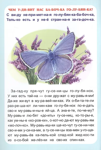 Секреты природы. Рассказы о букашках. Слогочиталка - фото 2